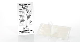 Bell Trapper T Rex Snap Trap